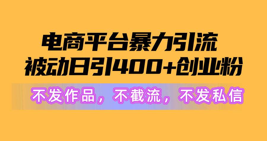 （10168期）电商平台暴力引流,被动日引400+创业粉不发作品，不截流，不发私信-旺仔资源库