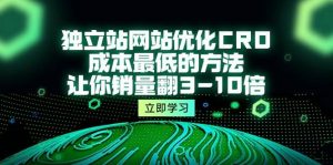 （10173期）独立站网站优化CRO，成本最低的方法，让你销量翻3-10倍（5节课）-旺仔资源库