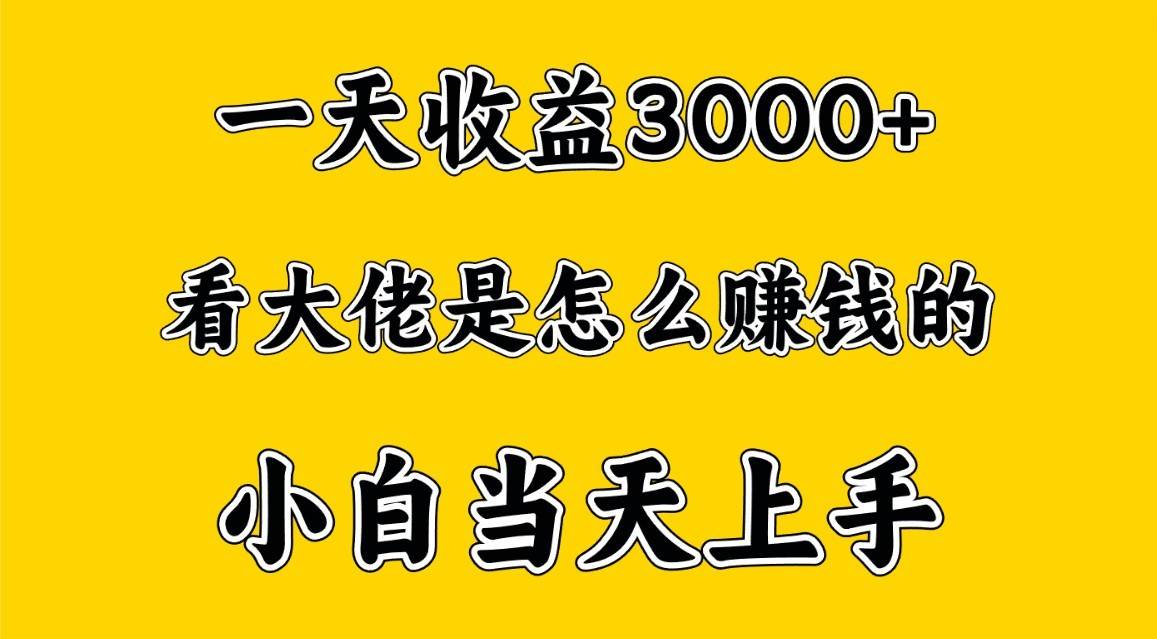 一天赚3000多，大佬是这样赚到钱的，小白当天上手，穷人翻身项目-旺仔资源库