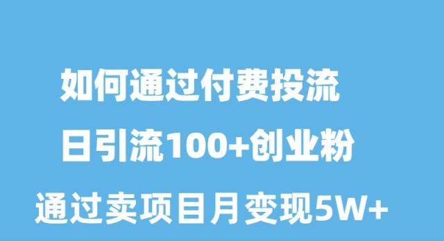 （10189期）如何通过付费投流日引流100+创业粉月变现5W+-旺仔资源库