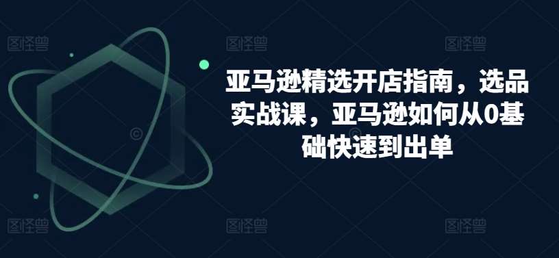 亚马逊精选开店指南，选品实战课，亚马逊如何从0基础快速到出单-旺仔资源库