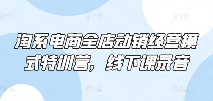 淘系电商全店动销经营模式特训营，线下课录音-旺仔资源库