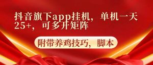抖音旗下app自动挂机，单机一天收益25+，可多开矩阵-旺仔资源库