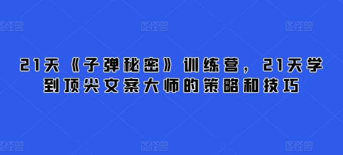 21天《子弹秘密》训练营，21天学到顶尖文案大师的策略和技巧-旺仔资源库