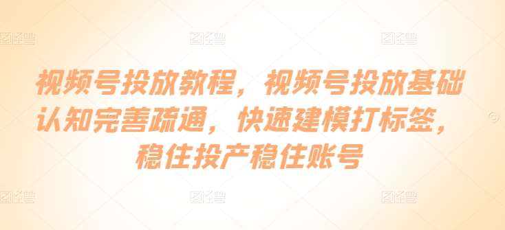 视频号投放教程，​视频号投放基础认知完善疏通，快速建模打标签，稳住投产稳住账号-旺仔资源库