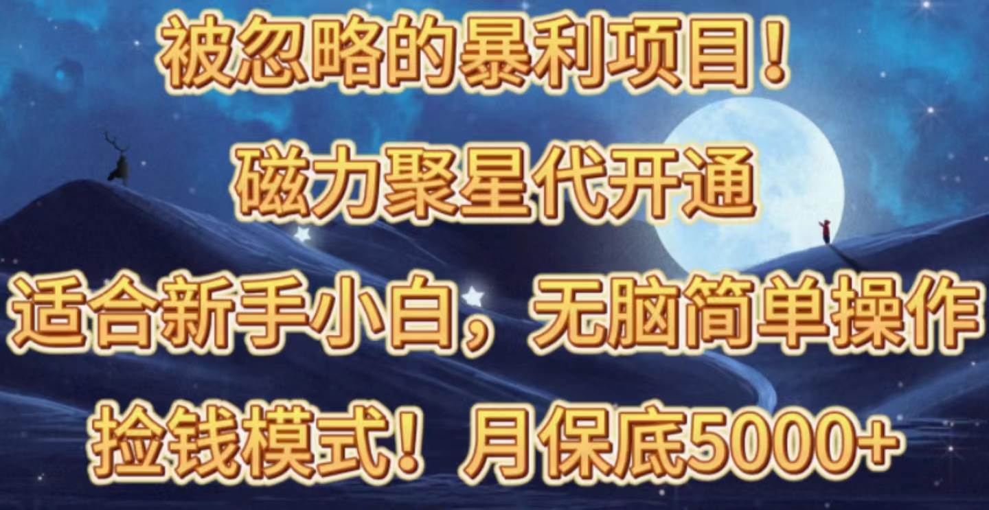 （10245期）被忽略的暴利项目！磁力聚星代开通捡钱模式，轻松月入五六千-旺仔资源库