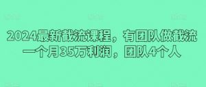 2024最新截流课程，有团队做截流一个月35万利润，团队4个人-旺仔资源库