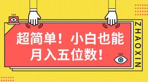 （10257期）超简单图文项目！小白也能月入五位数-旺仔资源库