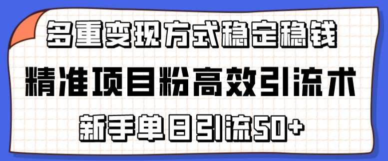 精准项目粉高效引流术，新手单日引流50+，多重变现方式稳定赚钱【揭秘】-旺仔资源库