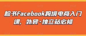 脸书Facebook跨境电商入门课，外贸·独立站必修-旺仔资源库