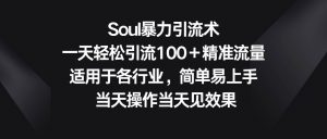 Soul暴力引流术，一天轻松引流100＋精准流量，适用于各行业，简单易上手！-旺仔资源库