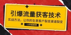 （10276期）《引爆流量 获客技术》实战方法，让你的生意客户裂变渠道裂变（13节）-旺仔资源库