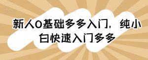 新人0基础多多入门，​纯小白快速入门多多-旺仔资源库