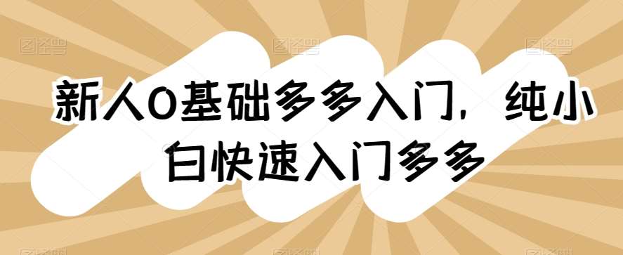 新人0基础多多入门，​纯小白快速入门多多-旺仔资源库