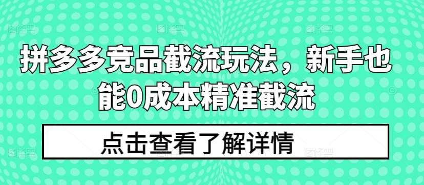 拼多多竞品截流玩法，新手也能0成本精准截流-旺仔资源库
