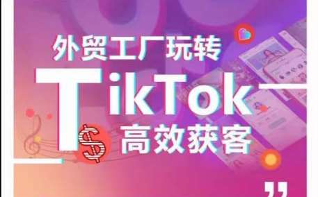 外贸工厂玩转TikTok高效获客，多种引流方式与账号定位技巧，拆解爆款短视频打造成功案例-旺仔资源库