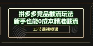 （10301期）拼多多竞品截流玩法，新手也能0成本精准截流（15节课）-旺仔资源库