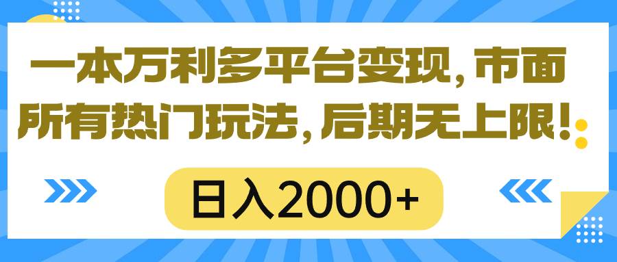 （10311期）一本万利多平台变现，市面所有热门玩法，日入2000+，后期无上限！-旺仔资源库