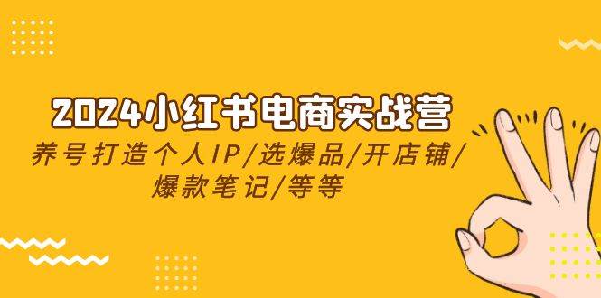 （10376期）2024小红书电商实战营，养号打造IP/选爆品/开店铺/爆款笔记/等等（24节）-旺仔资源库