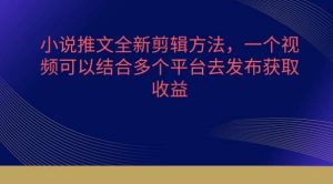 小说推文全新剪辑方法，一个视频可以结合多个平台去发布获取【揭秘】-旺仔资源库