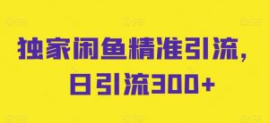 独家闲鱼精准引流，日引流300+【揭秘】-旺仔资源库