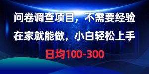 （10402期）问卷调查项目，不需要经验，在家就能做，小白轻松上手，日均100-300-旺仔资源库