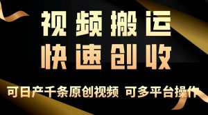 （10417期）一步一步教你赚大钱！仅视频搬运，月入3万+，轻松上手，打通思维，处处…-旺仔资源库