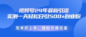 （10415期）视频号24年最新引流，一天轻松日引500+创业粉，简单好上手，轻松引爆流量-旺仔资源库