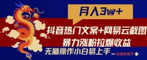 抖音热门文案+网易云截图暴力涨粉拉爆收益玩法，小白无脑操作，简单易上手【揭秘】-旺仔资源库