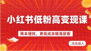 小红书低粉高变现课-降本增效，更低成本精准获客，小红书必爆的流量密码-旺仔资源库