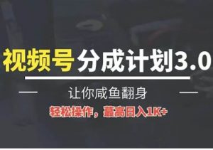 24年视频号冷门蓝海赛道，操作简单，单号收益可达四位数-旺仔资源库