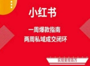 爆款小红书免费流量体系课程，小红书电商教程-旺仔资源库
