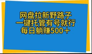 （10468期）网盘拉新野路子，一键托管有号就行，全自动代发视频，每日躺赚500＋-旺仔资源库