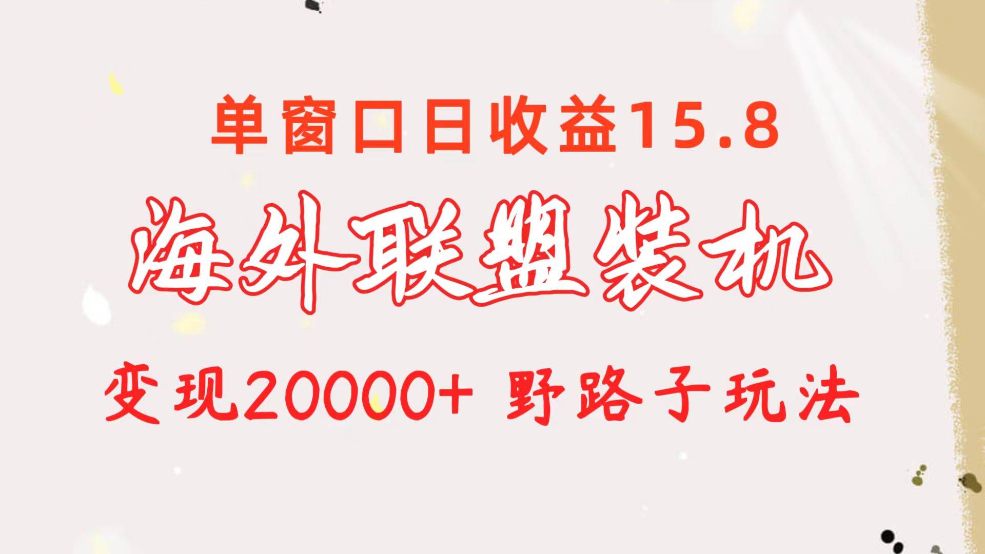 （10475期）海外联盟装机 单窗口日收益15.8  变现20000+ 野路子玩法-旺仔资源库