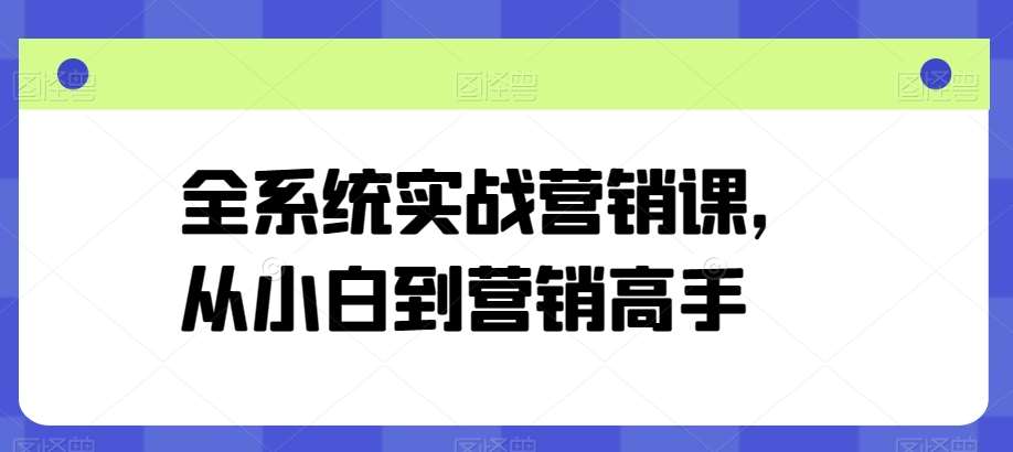 全系统实战营销课，从小白到营销高手-旺仔资源库