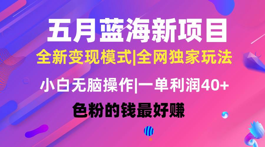 （10477期）五月蓝海项目全新玩法，小白无脑操作，一天几分钟，矩阵操作，月入4万+-旺仔资源库