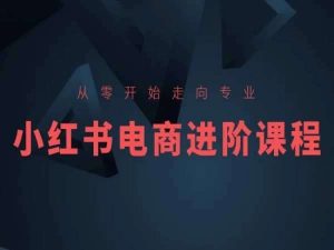 从零开始走向专业，小红书电商进阶课程-旺仔资源库