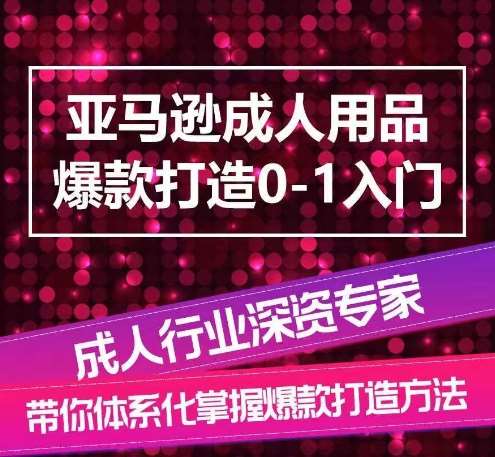 亚马逊成人用品爆款打造0-1入门，系统化讲解亚马逊成人用品爆款打造的流程-旺仔资源库