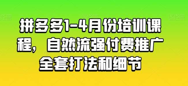 拼多多1-4月份培训课程，自然流强付费推广全套打法和细节-旺仔资源库