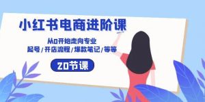 小红书电商进阶课：从0开始走向专业 起号/开店流程/爆款笔记/等等（20节）-旺仔资源库