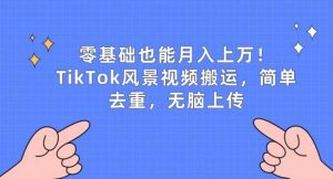 零基础也能月入上w，TikTok风景视频搬运，简单去重，无脑上传【揭秘】-旺仔资源库
