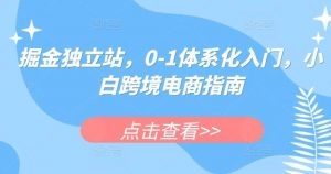 掘金独立站，0-1体系化入门，小白跨境电商指南-旺仔资源库