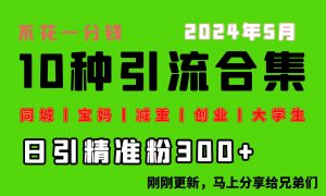 （10545期）0投入，每天搞300+“同城、宝妈、减重、创业、大学生”等10大流量！-旺仔资源库