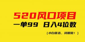 （10544期）520风口项目一单99 日入4位数-旺仔资源库