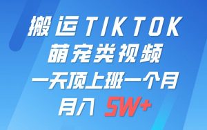 一键搬运TIKTOK萌宠类视频，一部手机即可操作，所有平台均可发布 轻松月入5W+-旺仔资源库