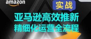 亚马逊高效推新精细化运营全流程，全方位、快速拉升产品排名和销量!-旺仔资源库