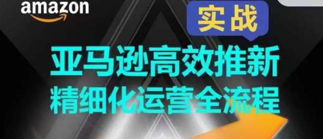 亚马逊高效推新精细化运营全流程，全方位、快速拉升产品排名和销量!-旺仔资源库