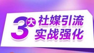 3大社媒引流实战强化，多渠道站外引流，高效精准获客，订单销售额翻倍增长-旺仔资源库