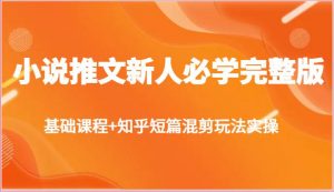 小说推文新人必学完整版，基础课程+知乎短篇混剪玩法实操-旺仔资源库
