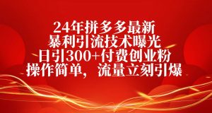 （10559期）24年拼多多最新暴利引流技术曝光，日引300+付费创业粉，操作简单，流量…-旺仔资源库